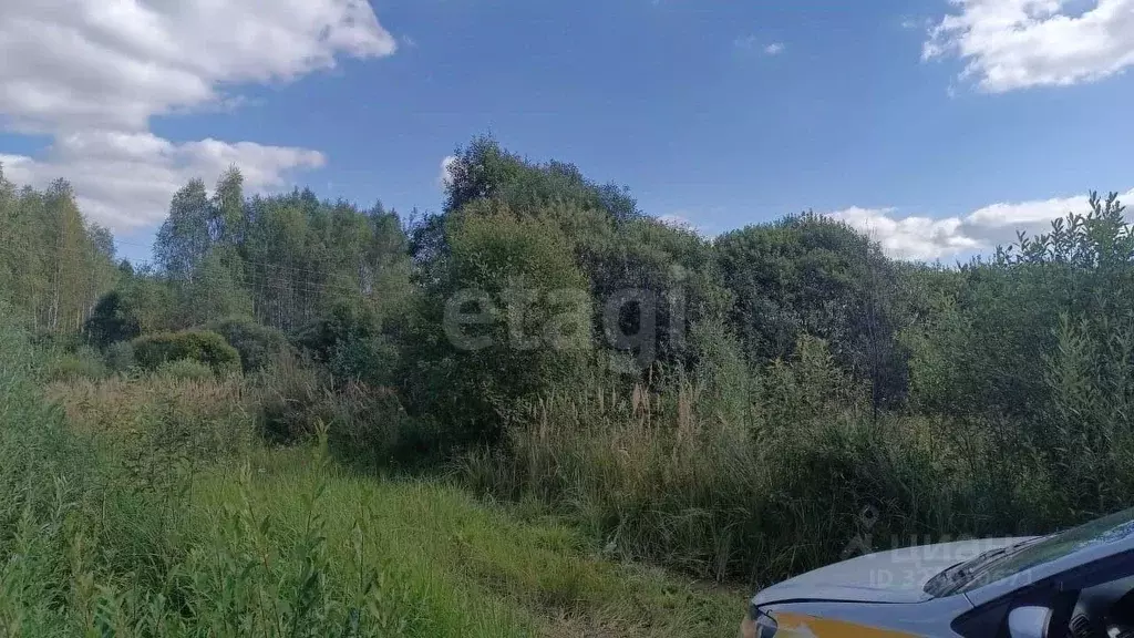 Участок в Калужская область, Медынь ул. Березовая (10.0 сот.) - Фото 1