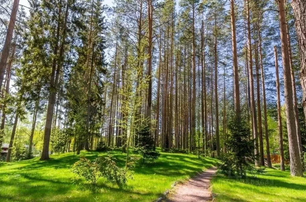 Коттедж в Ленинградская область, Выборгский район, Рощинское городское ... - Фото 1