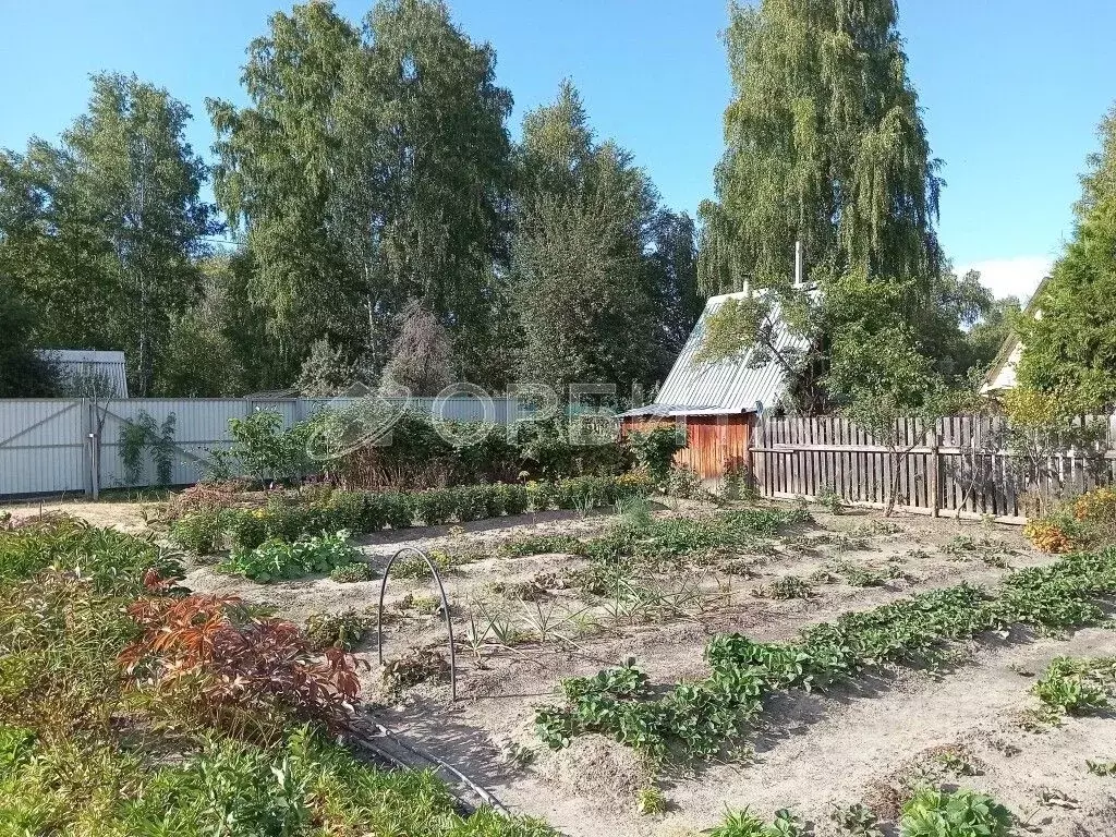 Участок в Тюменская область, Тюмень СОСН Тура тер., ул. Здоровья (10.0 ... - Фото 2