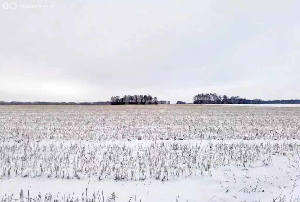 Участок в Омский район, село Калинино (11.7 м) - Фото 0