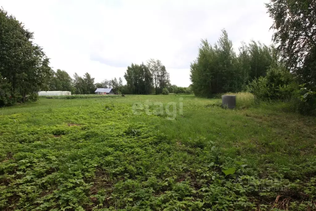 Участок в Вологодская область, Шекснинский район, Железнодорожное ... - Фото 0