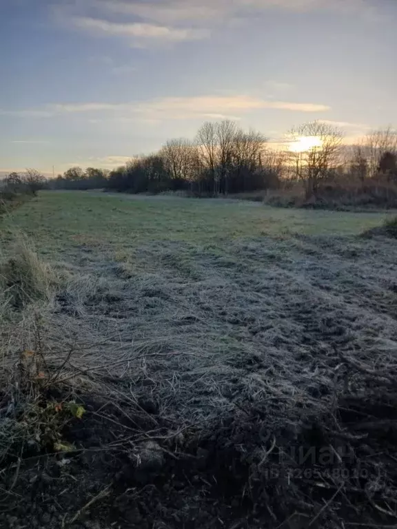 Участок в Калининградская область, Зеленоградский муниципальный округ, ... - Фото 1