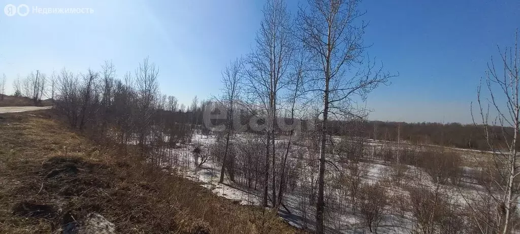 Участок в Красноярский край, Сосновоборский муниципальный округ, ... - Фото 2