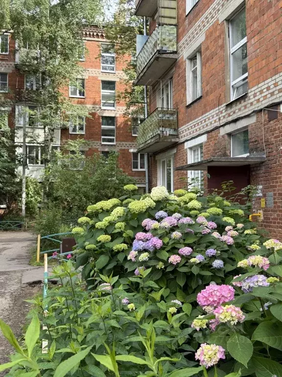 2-к кв. Московская область, Голицыно Одинцовский городской округ, ... - Фото 2
