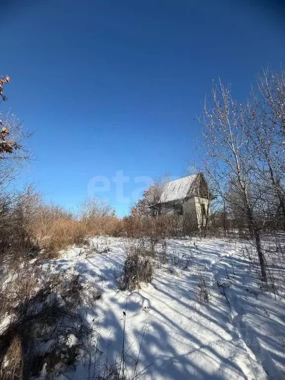 Участок в Амурская область, Благовещенск Новотроицкое ш. (8.0 сот.) - Фото 1