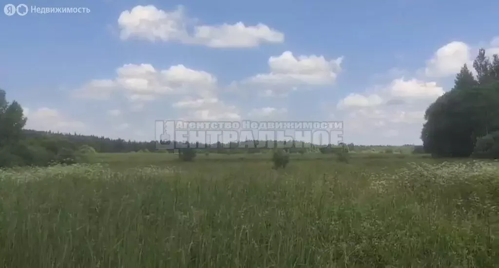 Участок в Смоленская область, Краснинский муниципальный округ, деревня ... - Фото 2