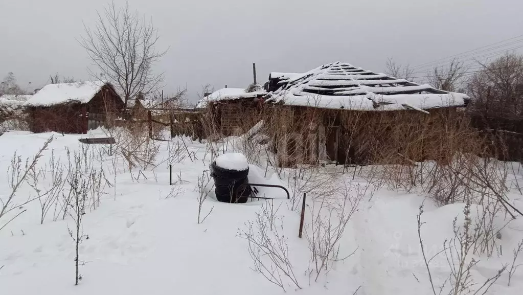 Участок в Саратовская область, Балашов ул. Павлова, 82 (5.4 сот.) - Фото 1
