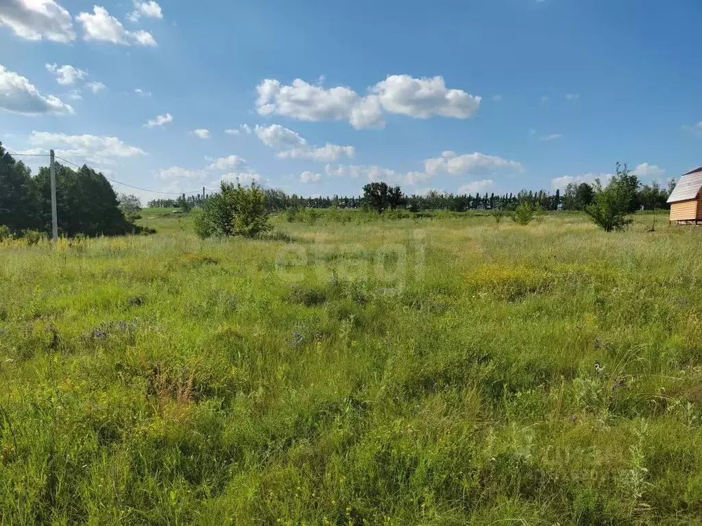 Участок в Белгородская область, Бирюч Красногвардейский район, ул. 8 ... - Фото 1