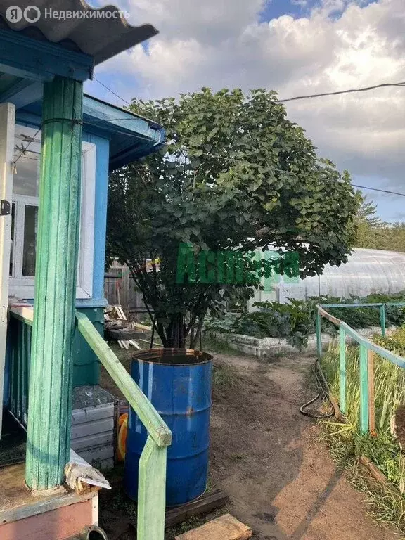 Дом в Читинский район, СНТ № 81 Ручейки (30.4 м) - Фото 1