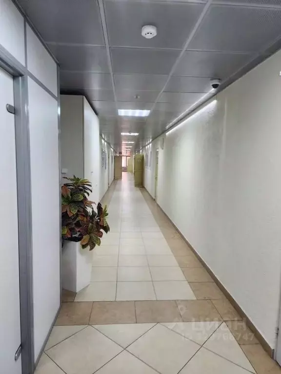 Офис в Свердловская область, Екатеринбург ул. Белинского, 83 (137 м) - Фото 2