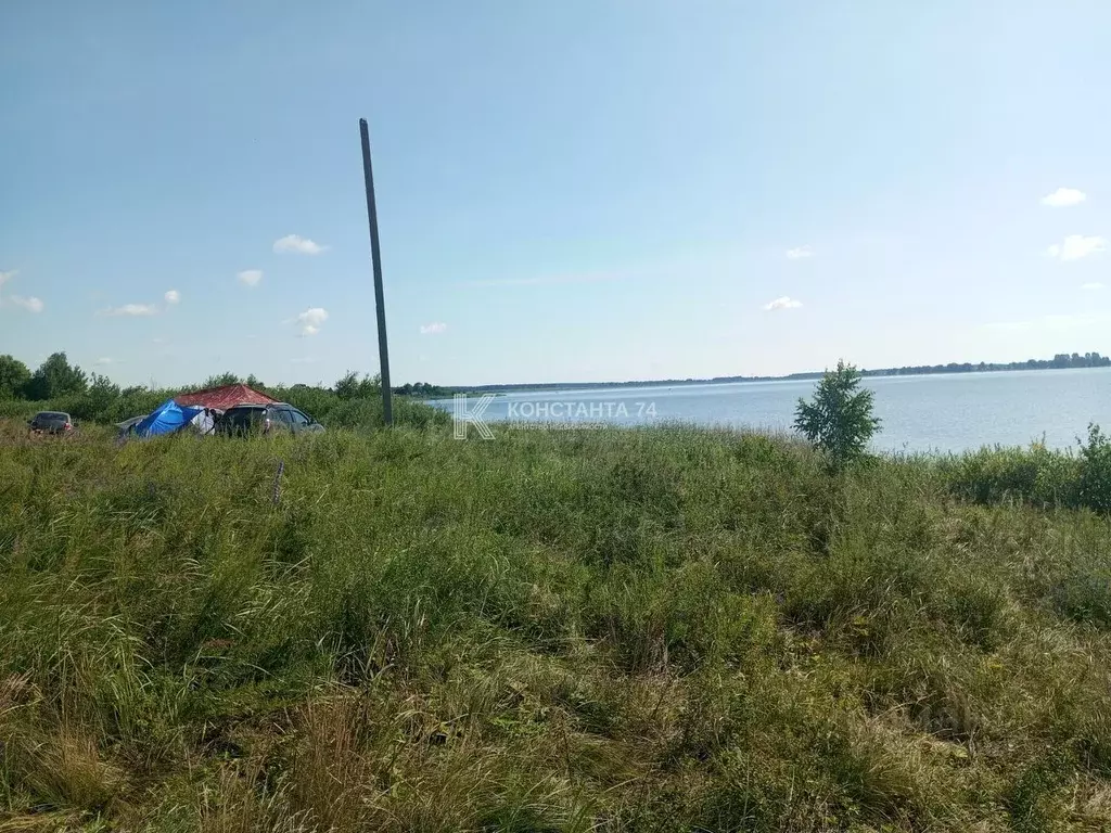 Участок в Челябинская область, Аргаяшский муниципальный округ, Журавли ... - Фото 1