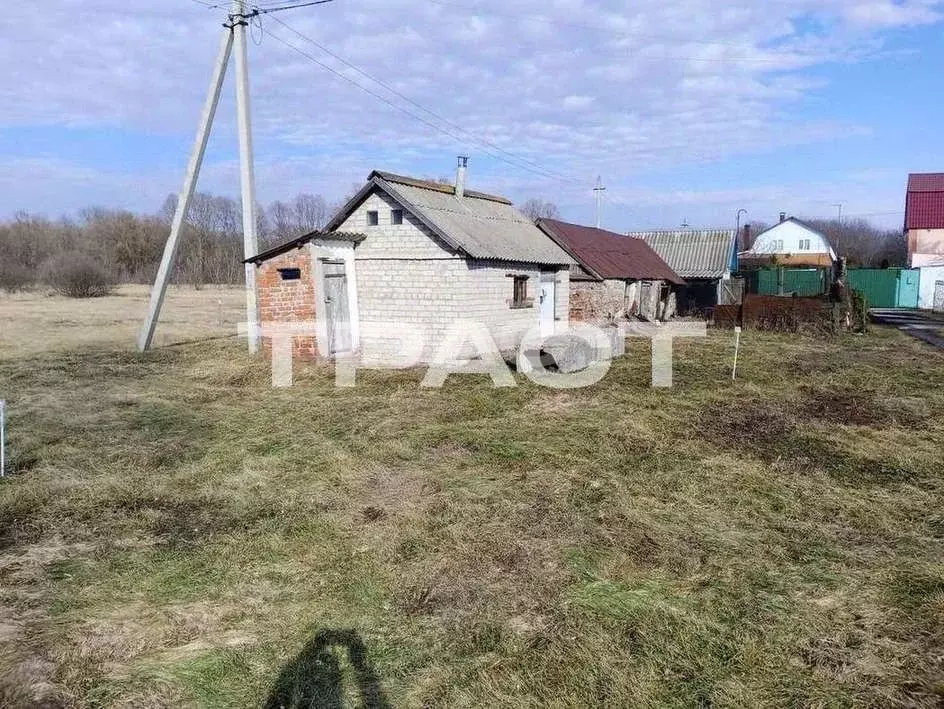 Участок в Воронежская область, Новоусманский район, с. Рогачевка  ... - Фото 1