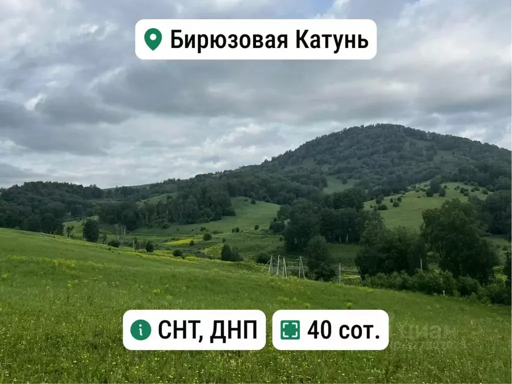 Участок в Алтай, Майминский район, с. Манжерок Ленинская ул. (40.0 ... - Фото 1