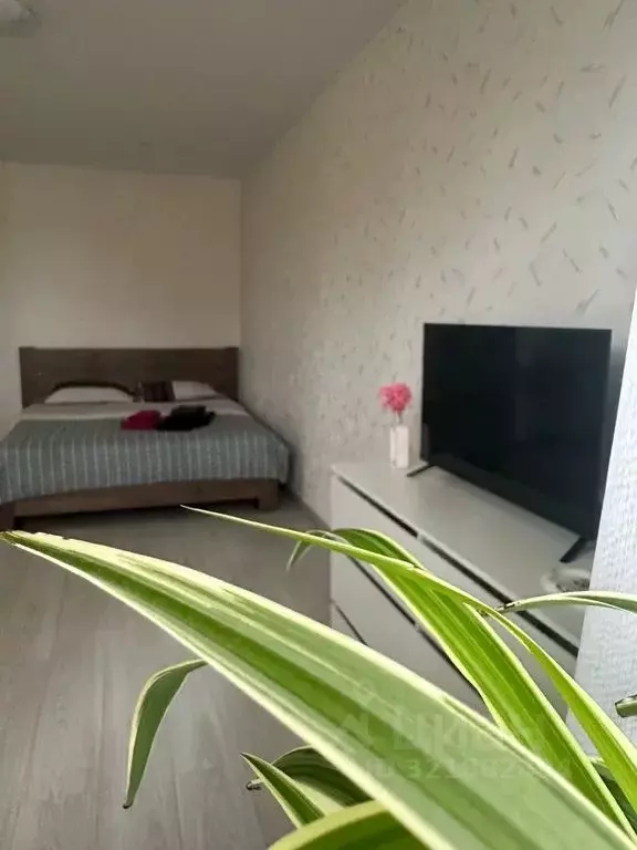 1-к кв. Самарская область, Самара ул. Авроры, 123 (32.0 м) - Фото 2