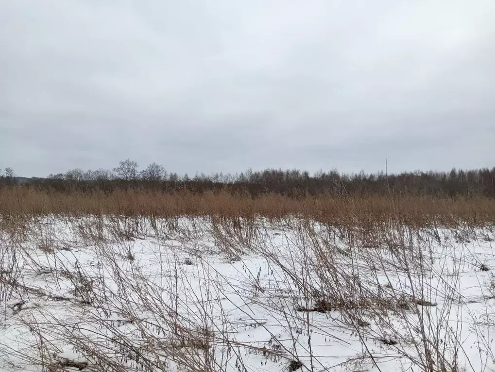 Участок в Московская область, Клин городской округ, д. Теренино  ... - Фото 1