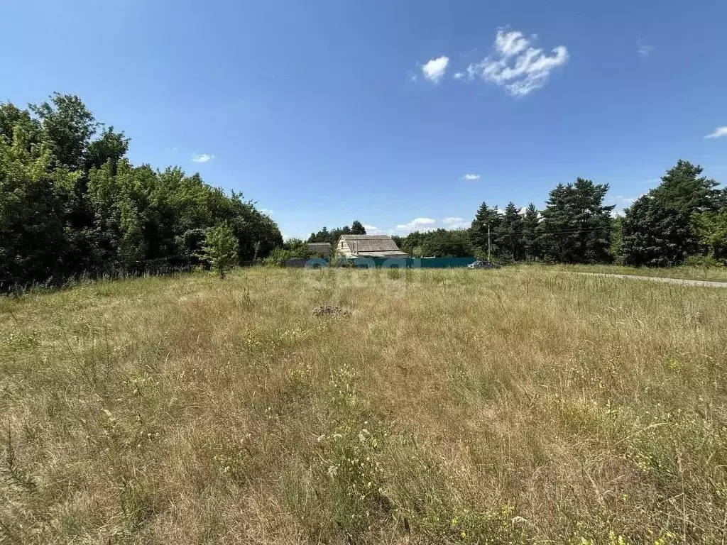 Участок в Белгородская область, Валуйский городской округ, с. ... - Фото 1