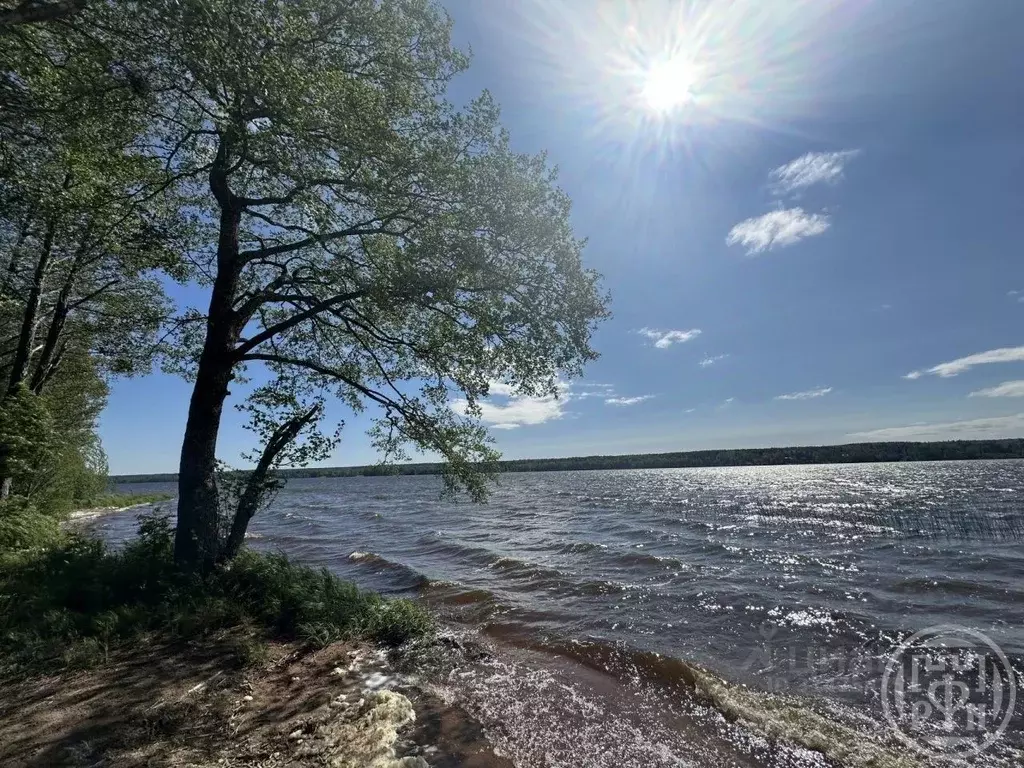 Участок в Ленинградская область, Выборгский район, Полянское с/пос, ... - Фото 1