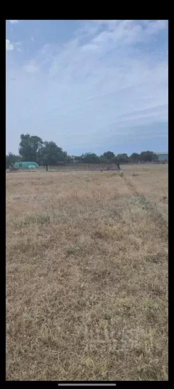 Участок в Ростовская область, Волгодонской район, Романовское с/пос, ... - Фото 1