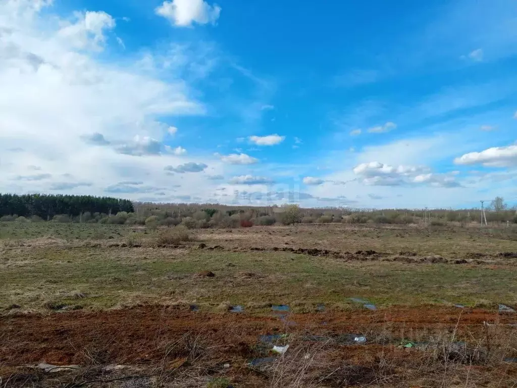 Участок в Нижегородская область, Богородский муниципальный округ, д. ... - Фото 1