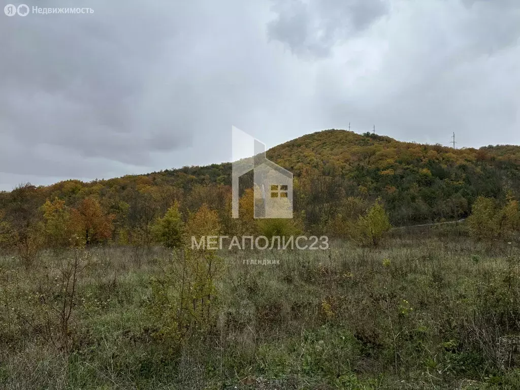 Участок в Краснодарский край, городской округ Геленджик, село ... - Фото 1
