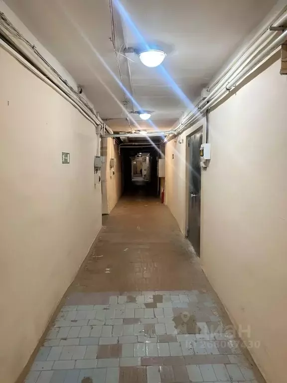 Склад в Воронежская область, Воронеж Южно-Моравская ул., 4 (28 м) - Фото 2