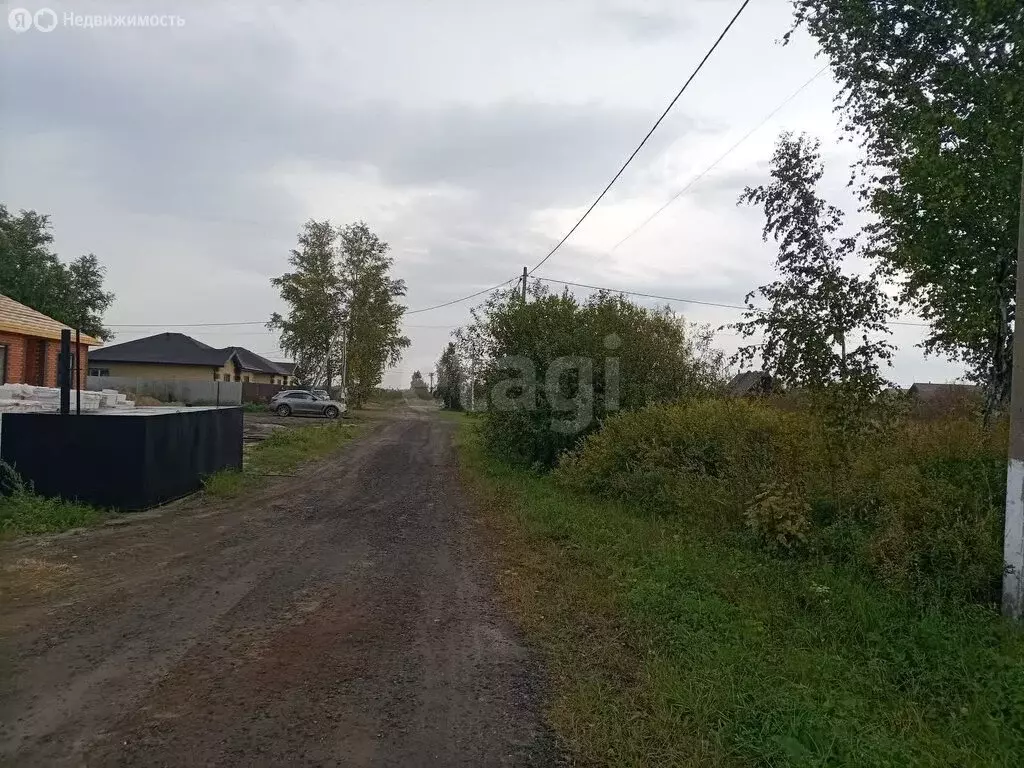 Участок в Тюмень, садовое товарищество Царево (4.78 м) - Фото 2