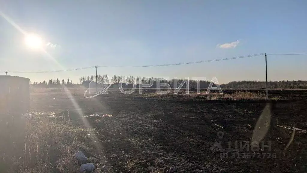 Участок в Тюменская область, Нижнетавдинский район, Царицыно СНТ  (9.5 ... - Фото 1