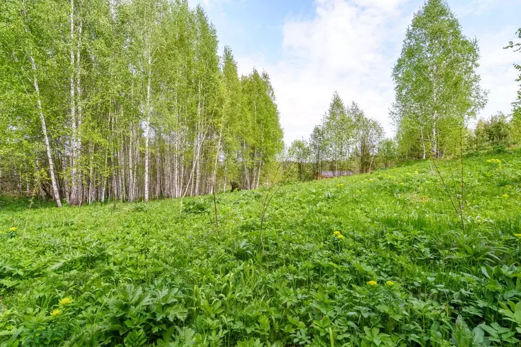 Участок в Томская область, Томск пос. Родионово,  (15.0 сот.) - Фото 0