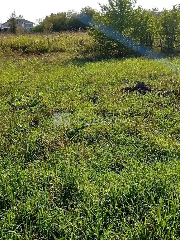 Участок в Новосибирская область, Коченёвский муниципальный район, СНТ ... - Фото 2