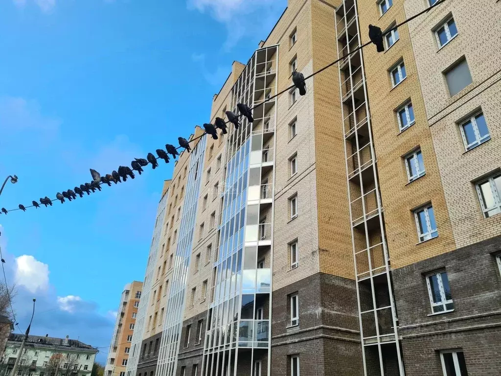 1-к кв. Архангельская область, Северодвинск ул. Торцева, 65 (35.8 м) - Фото 1