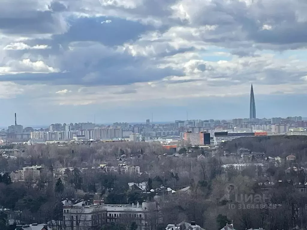 3-к кв. Санкт-Петербург ул. Композиторов, 12 (94.0 м) - Фото 0