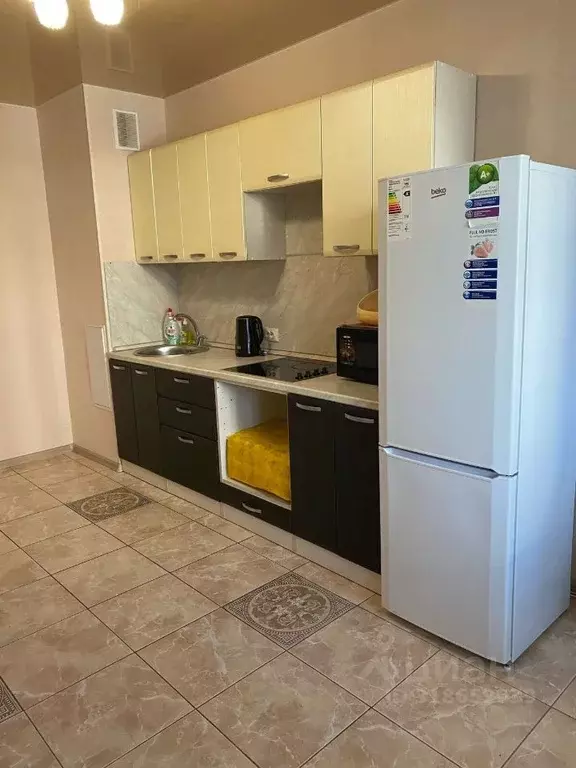 2-к кв. Владимирская область, Владимир ул. Чапаева, 8 (56.2 м) - Фото 2