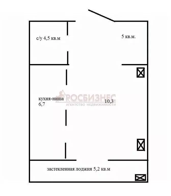 Студия Новосибирская область, Новосибирск Красный просп., 310 (33.0 м) - Фото 1