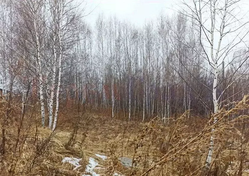 Участок в Новосибирская область, Новосибирск Пашино мкр, ул. Николая ... - Фото 0