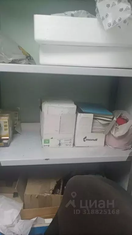 Помещение свободного назначения в Саха (Якутия), Нерюнгри ул. ... - Фото 1
