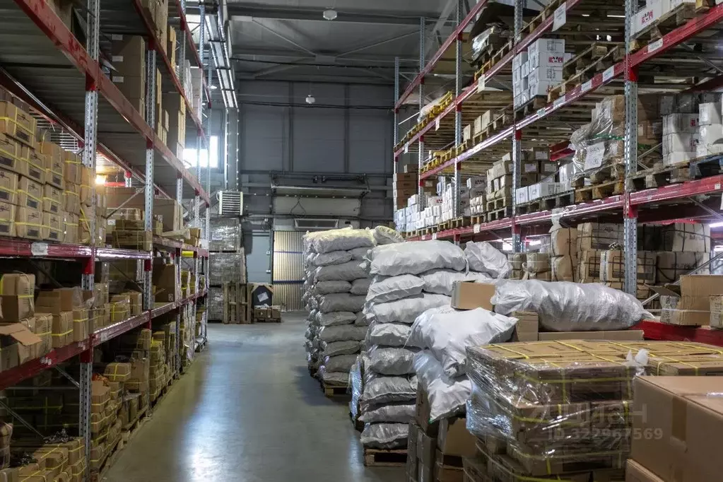 Склад в Воронежская область, Новоусманский район, с. Бабяково ул. ... - Фото 2