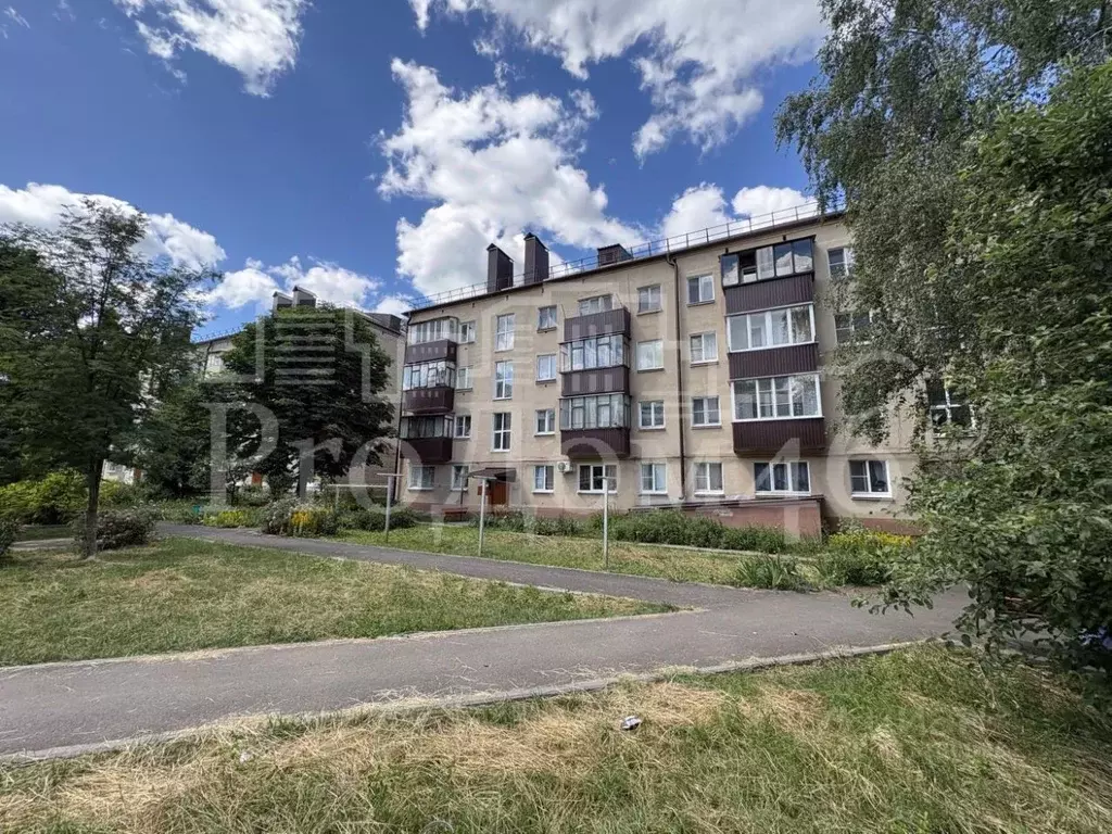 2-к кв. Курская область, Щигры ул. Лермонтова, 9 (42.2 м) - Фото 2