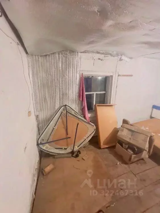 Дом в Иркутская область, Иркутский муниципальный округ, с. Урик ул. ... - Фото 1