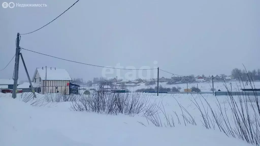 Участок в Республика Мордовия, село Лямбирь (12 м) - Фото 2