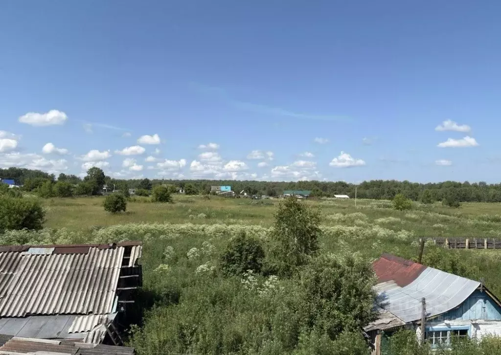 Участок в Новосибирская область, Мошковский район, с. Новый Порос ... - Фото 1