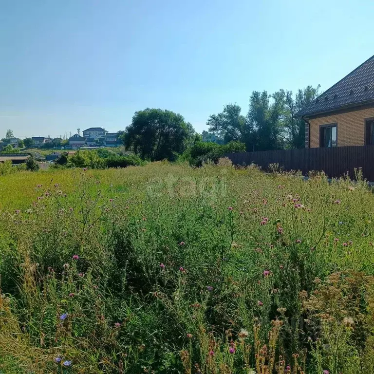 Участок в Белгородская область, Чернянка рп пер. Ломоносова, 42 ... - Фото 1