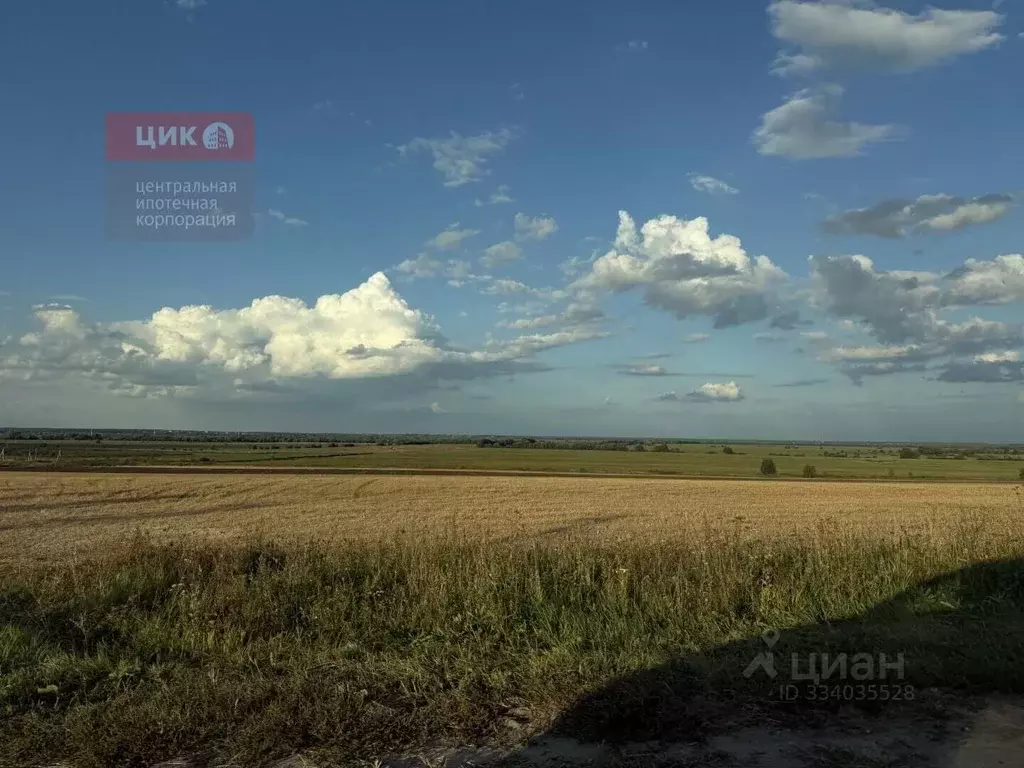Участок в Рязанская область, Рязанский муниципальный округ, с. ... - Фото 2