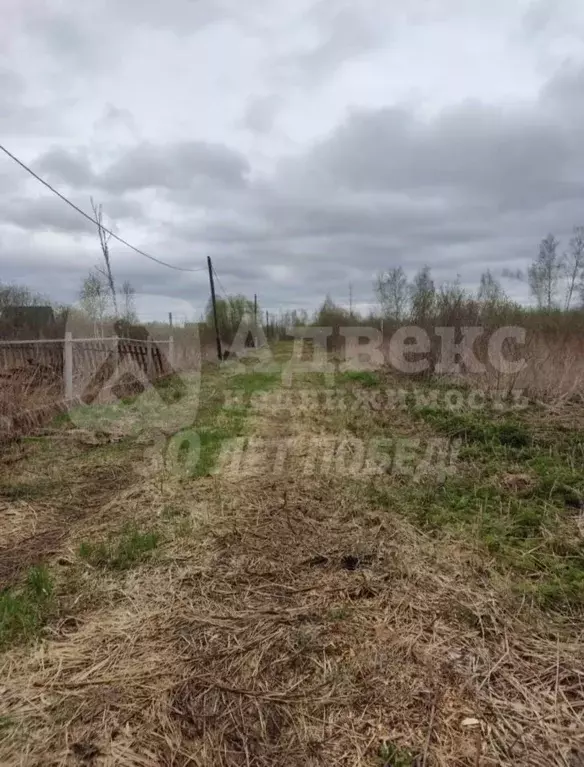 Участок в Тюменская область, Нижнетавдинский муниципальный округ, ... - Фото 2