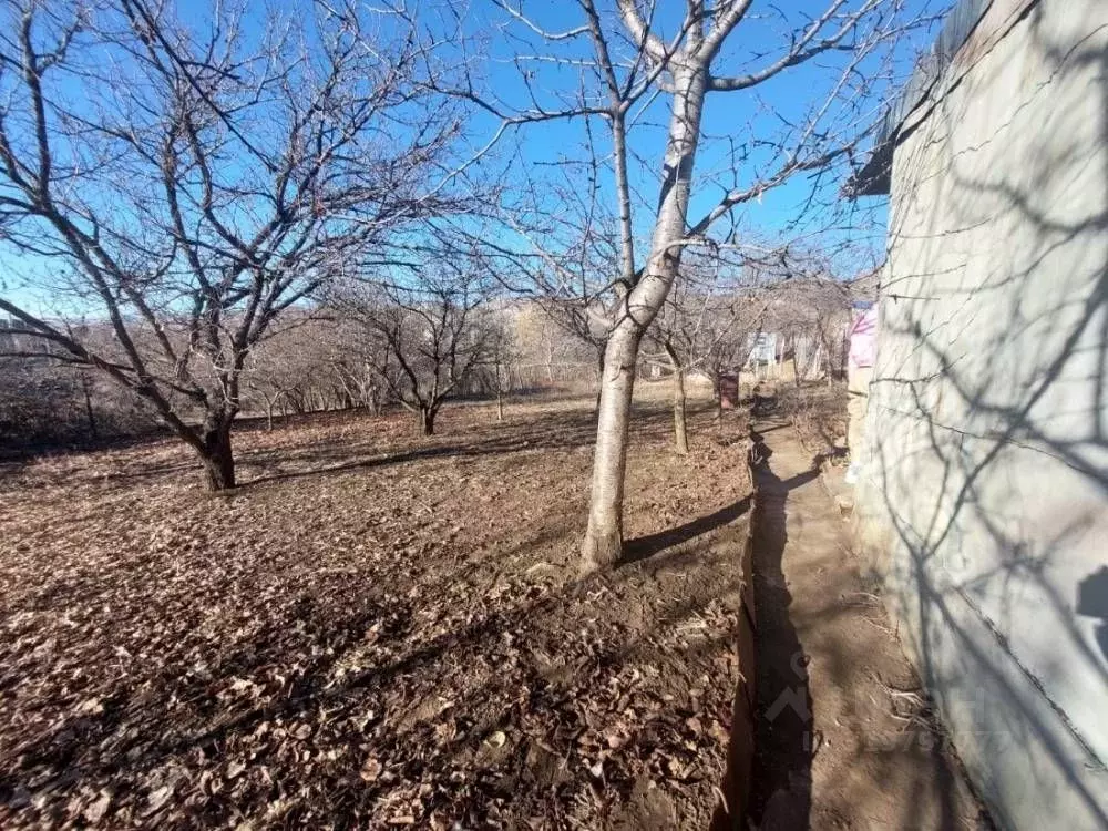 Участок в Ставропольский край, Предгорный муниципальный округ, пос. ... - Фото 1