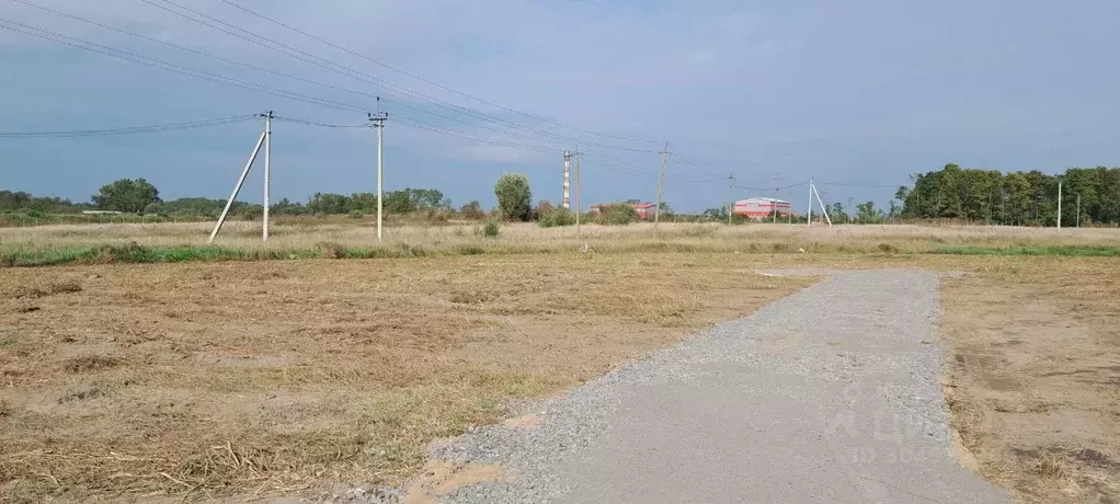 Участок в Ленинградская область, Ломоносовский район, Русско-Высоцкое ... - Фото 0