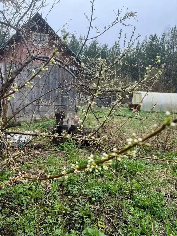 Участок 5,5 сот. (СНТ, ДНП) - Фото 0