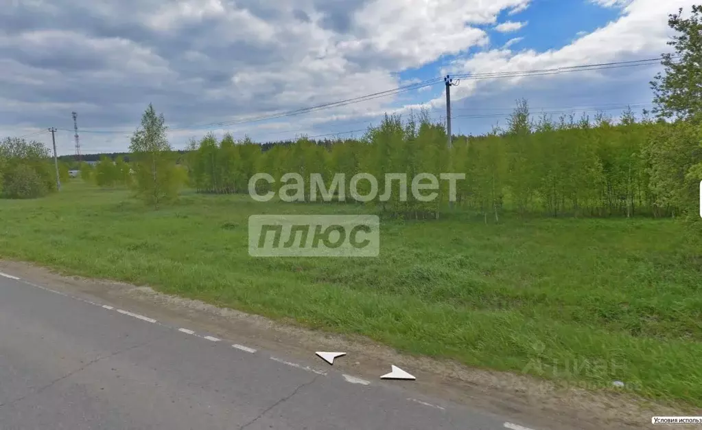 Участок в Московская область, Раменский муниципальный округ, Ромашкино ... - Фото 2