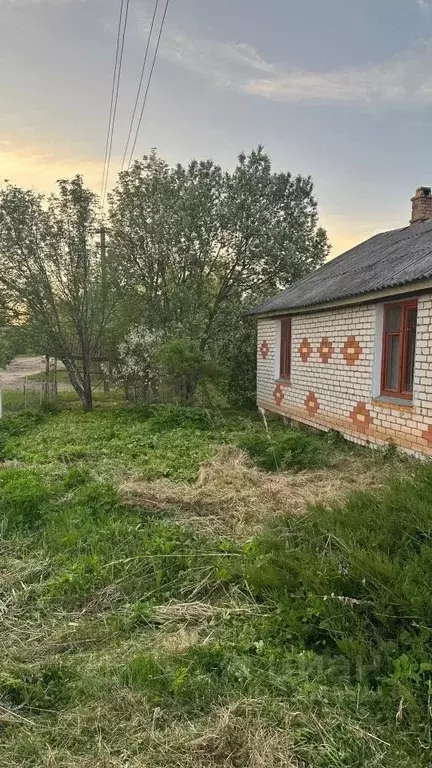 Дом в Ярославская область, Ростовский муниципальный округ, д. Чепорово ... - Фото 2