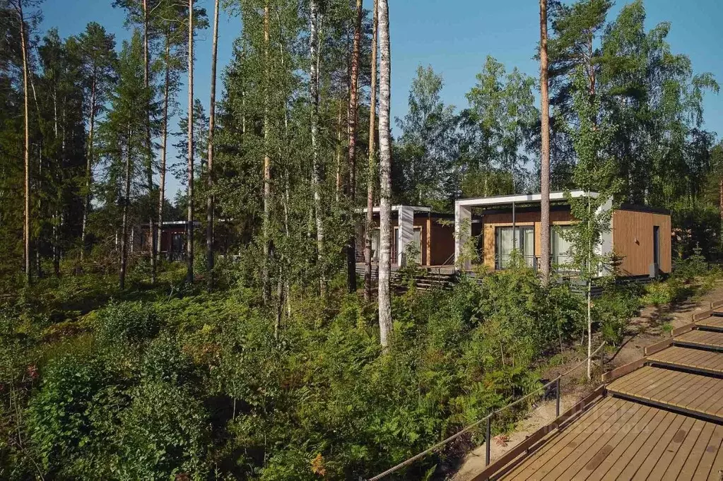 Дом в Марий Эл, Медведевский район, Сидоровское с/пос, пос. Шап  (36 ... - Фото 2