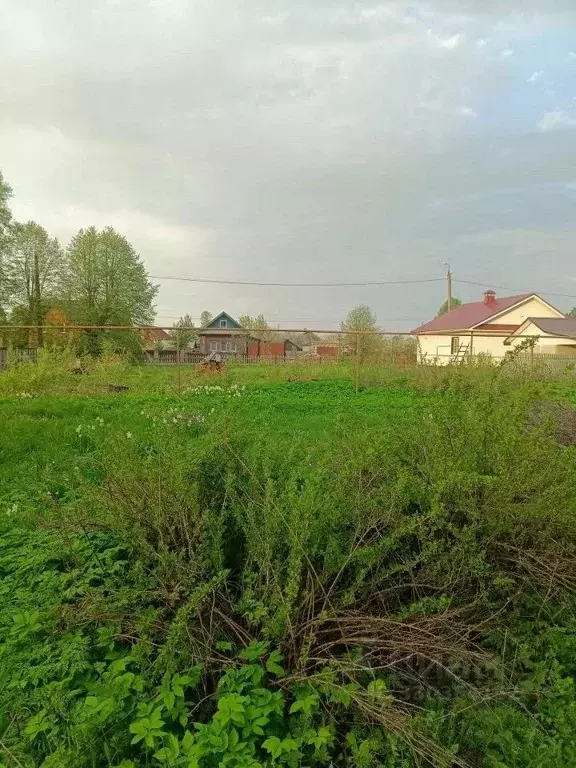 Участок в Марий Эл, Медведевский район, Краснооктябрьский городское ... - Фото 1
